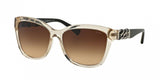 Coach L131 8156Q Sunglasses