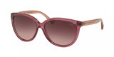 Coach L135 8153 Sunglasses