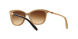 109013 - Black - Brown Gradient