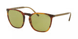 Polo 4141 Sunglasses