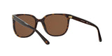 137883 - Havana - Brown Solid Polarized