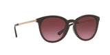 33448H - Cordovan Gradient