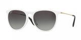 Ray Ban Erika 4171F Sunglasses