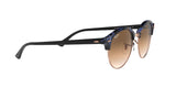 125651 - Havana - Clear Gradient Brown