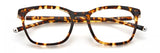 Paradigm 19-22 Eyeglasses