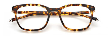 Paradigm 19-22 Eyeglasses