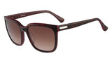 Calvin Klein 4253S Sunglasses