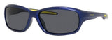 Polaroid Core P0425 Sunglasses