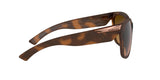 943206 - Havana - Brown Gradient Polarized