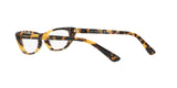 2605 - Brown Yellow Tortoise