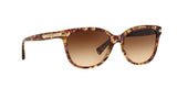 528713 - Light Brown - Brown Gradient