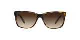 905/13 - Brown - Brown Gradient