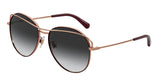 Dolce & Gabbana 2261 Sunglasses