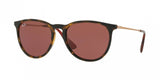 Ray Ban Erika 4171F Sunglasses