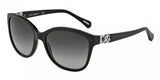 Dolce & Gabbana Iconic Logo 4162P Sunglasses