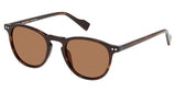 Ben Sherman BSGROVE Eyeglasses