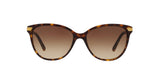 300213 - Havana - Brown Gradient