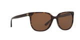 137883 - Havana - Brown Solid Polarized