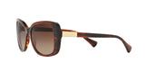 162513 - Brown - Smoke Gradient