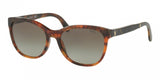 Polo 4117 Sunglasses