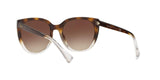 573513 - Gradient Brown