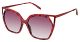 C-Life CLKOURT Sunglasses