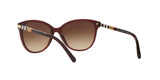 301413 - Bordeaux - Brown Gradient