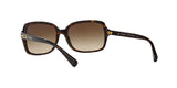 500113 - Havana - Brown Gradient