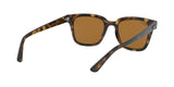 710/83 - Havana - Polar Brown