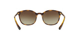 W65613 - Havana - Brown Gradient