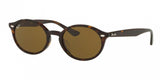 Ray Ban 4315F Sunglasses