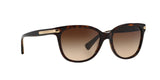 529113 - Havana - Dark Brown Gradient