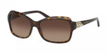 Bvlgari 8153B Sunglasses