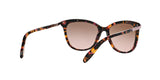 146114 - Pink - Brown Rose Gradient