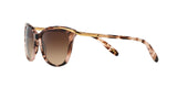 146313 - Havana - Dark Brown Gradient