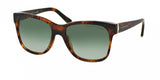 Ralph Lauren 8115 Sunglasses