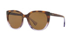 573683 - Dark Brown Polar