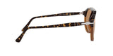 108653 - Caramel Tortoise - Brown + Ar