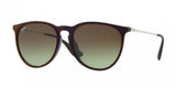 Ray Ban Erika 4171F Sunglasses