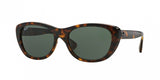 Ray Ban 4227 Sunglasses