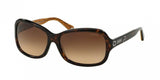 Coach 8016 Sunglasses