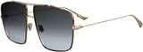 Dior Diormonsieur2 Sunglasses