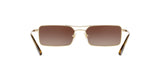 848/13 - Brown Gradient