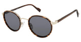 Ben Sherman BSMANCHESTER Sunglasses