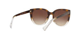 573513 - Gradient Brown