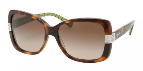 Coach 8004 Sunglasses