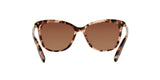 1463T5 - Havana - Brown Gradient Polarized