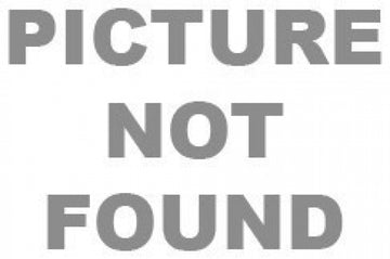 Guess 6878 Sunglasses