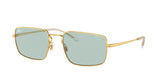 Ray Ban 3669F Sunglasses