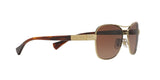 3211T5 - Gold - Brown Gradient Polarized